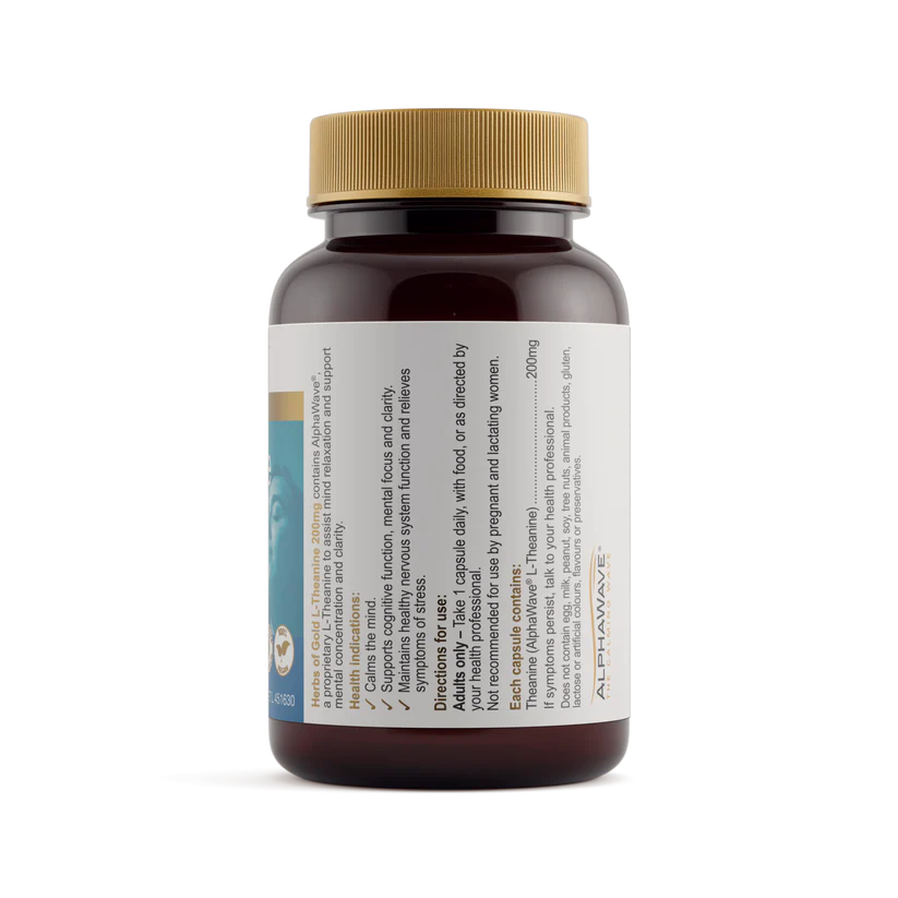 Focus and Mood Bundle